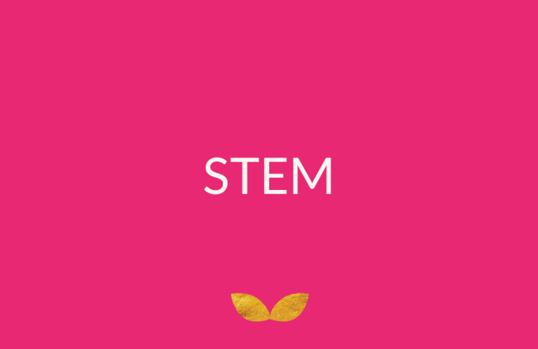 Science, technology, engineering, and math businesses managed by Members of the BRA Network